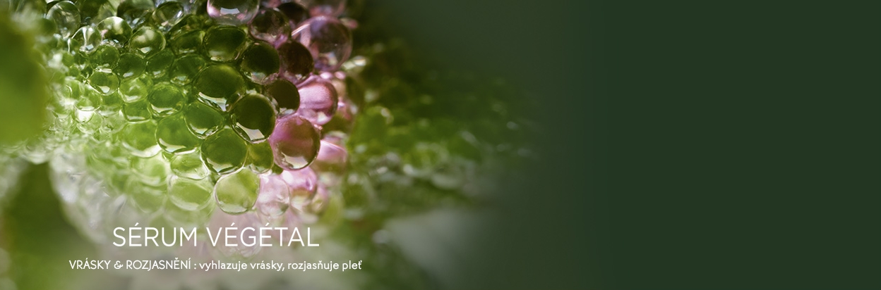 Résultat Sérum Végétal Rides & Eclat